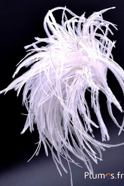 Pennacchio struzzo con anello - alt. 18-20 cm - crema grigi naturale